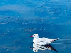 -花湖生态旅游区