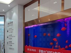 -牙博士口腔品牌连锁(杨浦店)