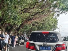 -大湾区中央湿地公园-十九涌