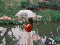 -人民公园(罗湖区)