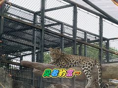 -石家庄市动物园