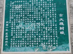 -大槐树寻根祭祖园