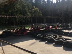 -崇明东平国家森林公园烧烤房车露营地