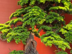 -阿伟海鲜楼·福建菜(延寿店)