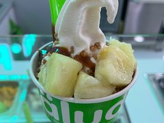 -Salud撒露欧洲冻酸奶(五道口购物中心店)