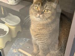 -财東财·棋牌(五角场店)