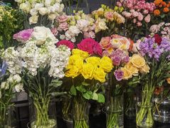 -FEI FEI FLOWER鲜花店·气球派对·宝宝宴布置(虹口德必运动Loft店)