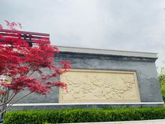 -莲花池公园