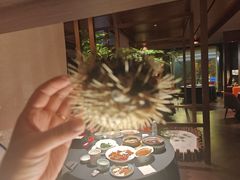 -肆月河豚·淮扬菜·湘菜(华天店)