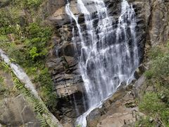 -海南热带雨林国家公园吊罗山景区