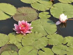 -昆山城市生态森林公园