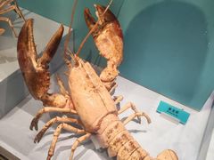 -天津自然博物馆