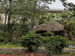 -中澳友谊花园