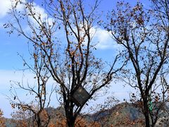 -少华山国家森林公园