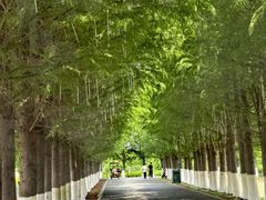 -嘉北郊野公园