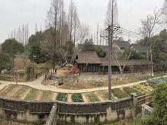-乌村