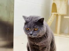 -佳雯宠物医院(金华南路分院)