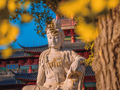 -毗卢寺