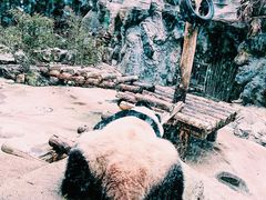 -北京海洋馆