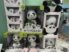 -中国大熊猫保护研究中心雅安碧峰峡基地