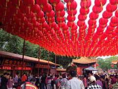 -南国桃园旅游度假区