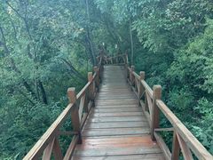 -大岭沟猕猴桃谷风景区