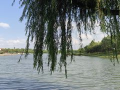 -美兰湖景区
