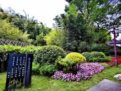 -望江楼公园