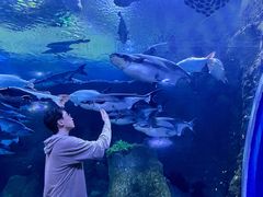 -成都浩海立方海洋公园