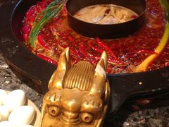 -蜀大侠火锅(建设路第五大道店)