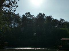 -溱湖国家湿地公园