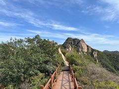 -大岭沟猕猴桃谷风景区