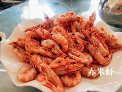 赤米虾-哈味食店(外伶仃岛店)