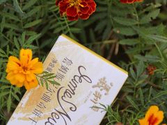 -百年义利(东直门店)