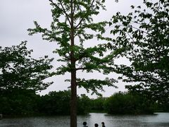 -新江湾城公园