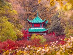 -岳麓山风景名胜区