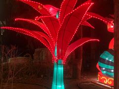 -南宫五洲植物乐园