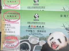-成都大熊猫繁育研究基地