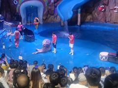 -烟台海昌鲸鲨海洋公园