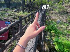-秦岭终南山世界地质公园翠华山景区