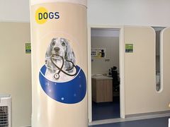 -佩兹宠物医院肿瘤专科·眼科·牙科(黄浦店)