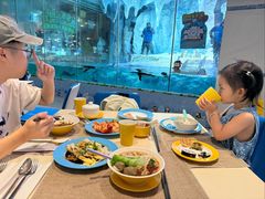 -帝企鹅自助餐厅•儿童岛•真企鹅(长隆企鹅酒店)