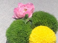 -南堂馆·新川菜(春熙路店)