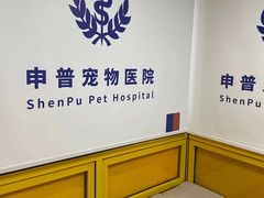 -申普宠物医院·心脏介入·心血管微创(总院)
