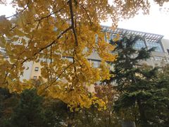 教学楼-北京邮电大学