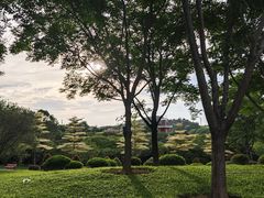 -东莞植物园