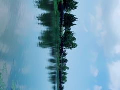 -羊亭河湿地公园