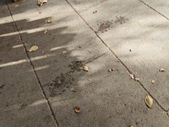 -水磨沟公园