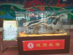 -诸城市恐龙博物馆