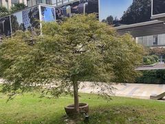 -花环泰拳·勒德斯拉泰拳馆(静安店)